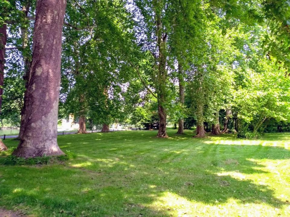 Bed and Breakfast Le Domaine Des Platanes Bourg-Charente Exteriér fotografie